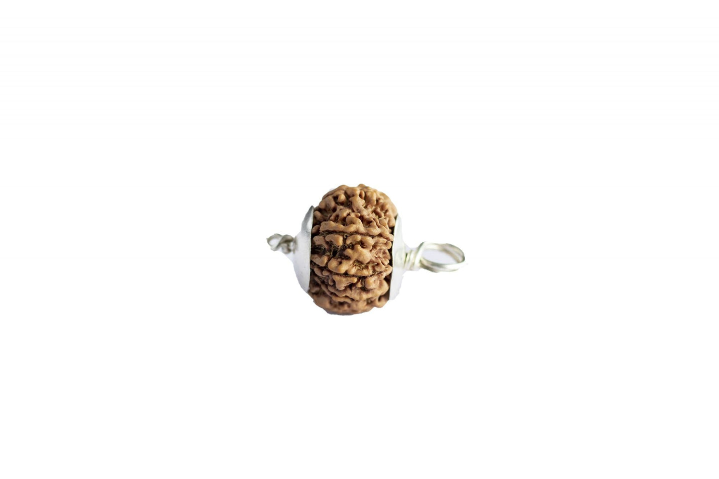 6 MUKHI CERTIFIED RUDRAKSH NEPAL
