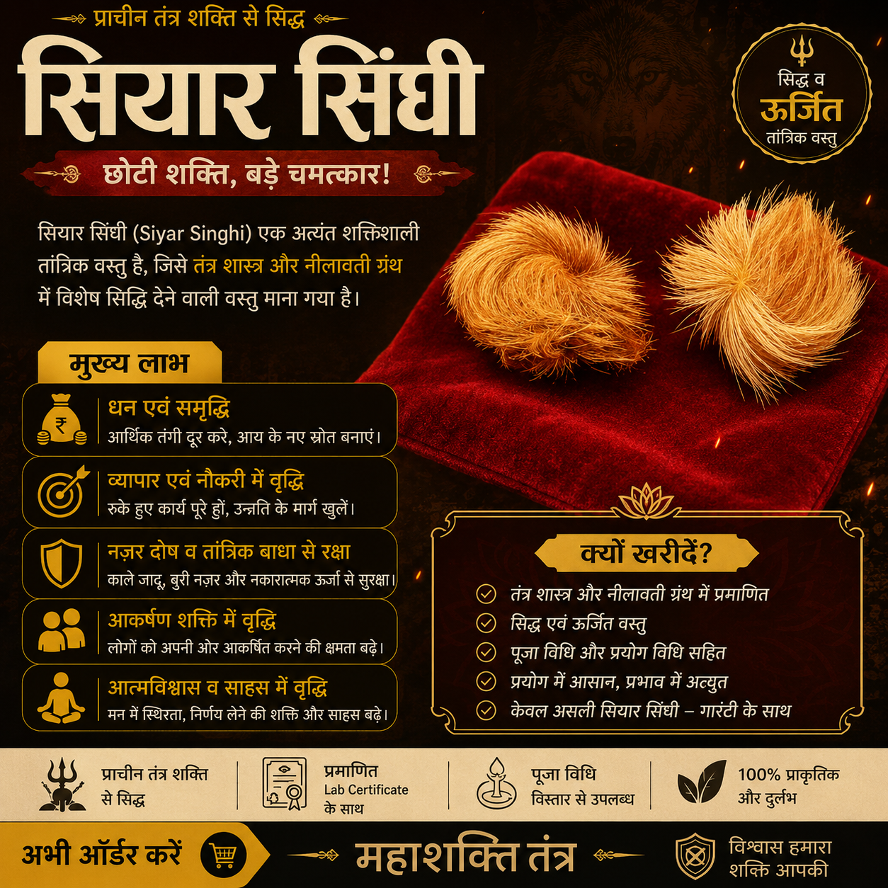 Siyar Singhi Energised Male & Female Pair