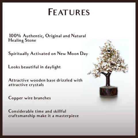 Gomati Chakra Tree