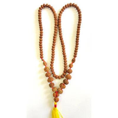 Indonesian 1 - 14 Mukhi Rudraksha Mala