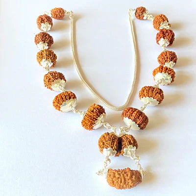 1 - 13 Mukhi Sidh Indra Rudraksha Mala