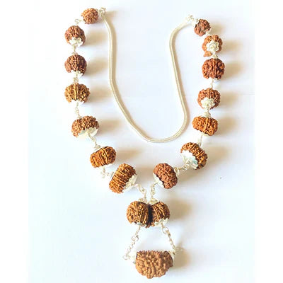 1 - 13 Mukhi Sidh Indra Rudraksha Mala
